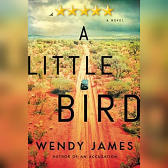 Book Review: A Little Bird by Wendy James
