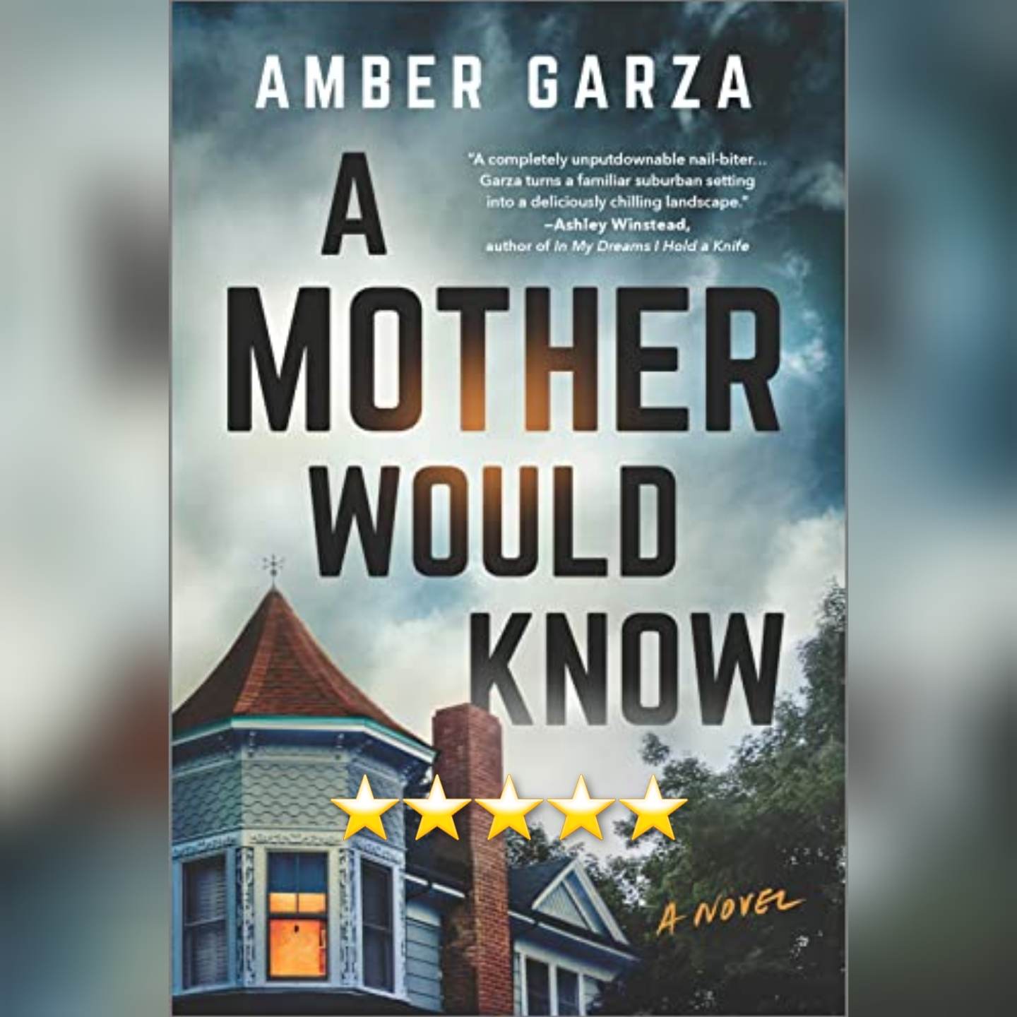Book Review: A Mother Would Know by Amber Garza