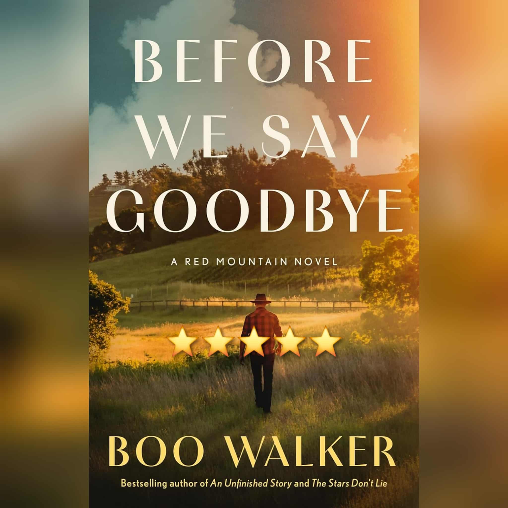Book Review: Before We Say Goodbye by Boo Walker