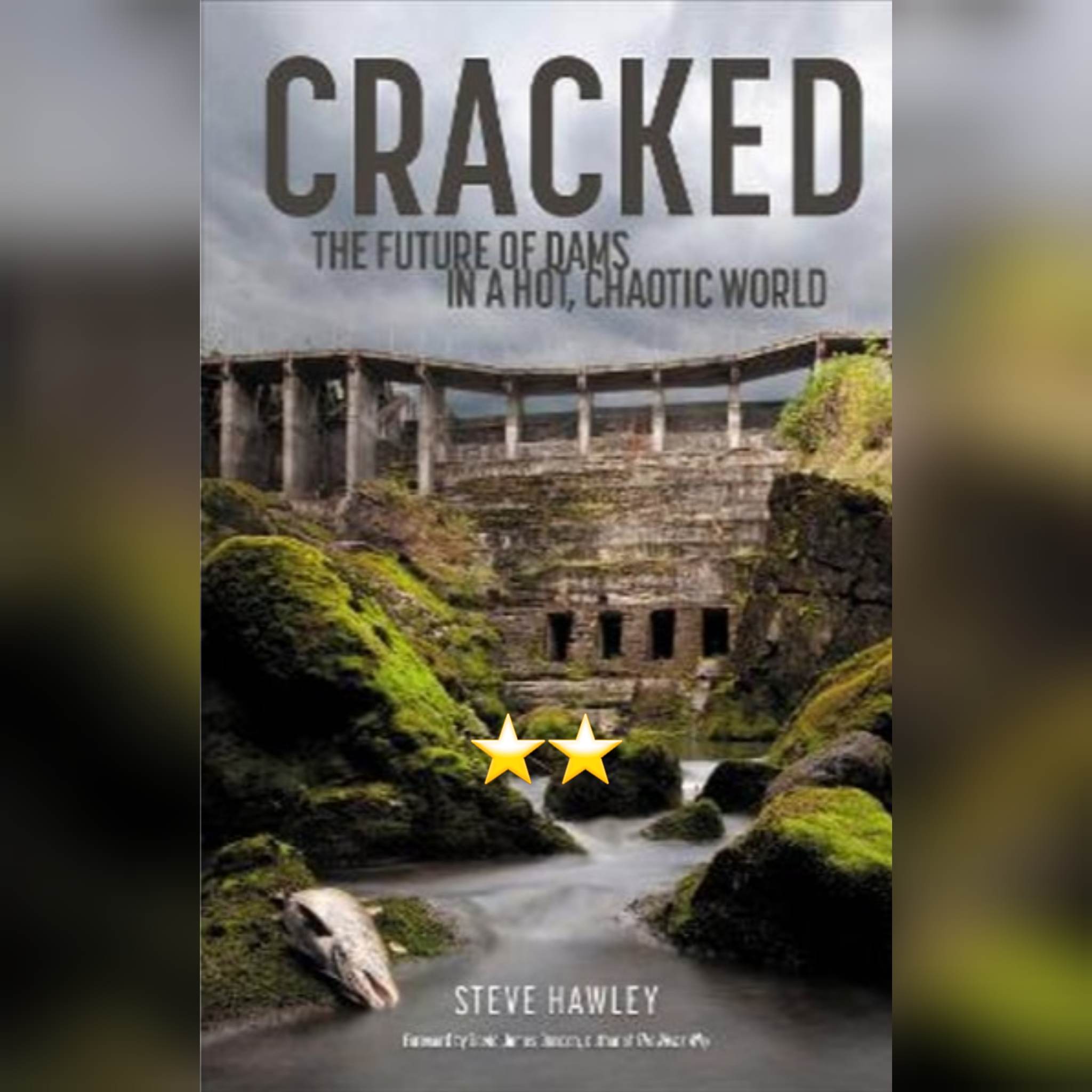 Book Review: Cracked by Steven Hawley