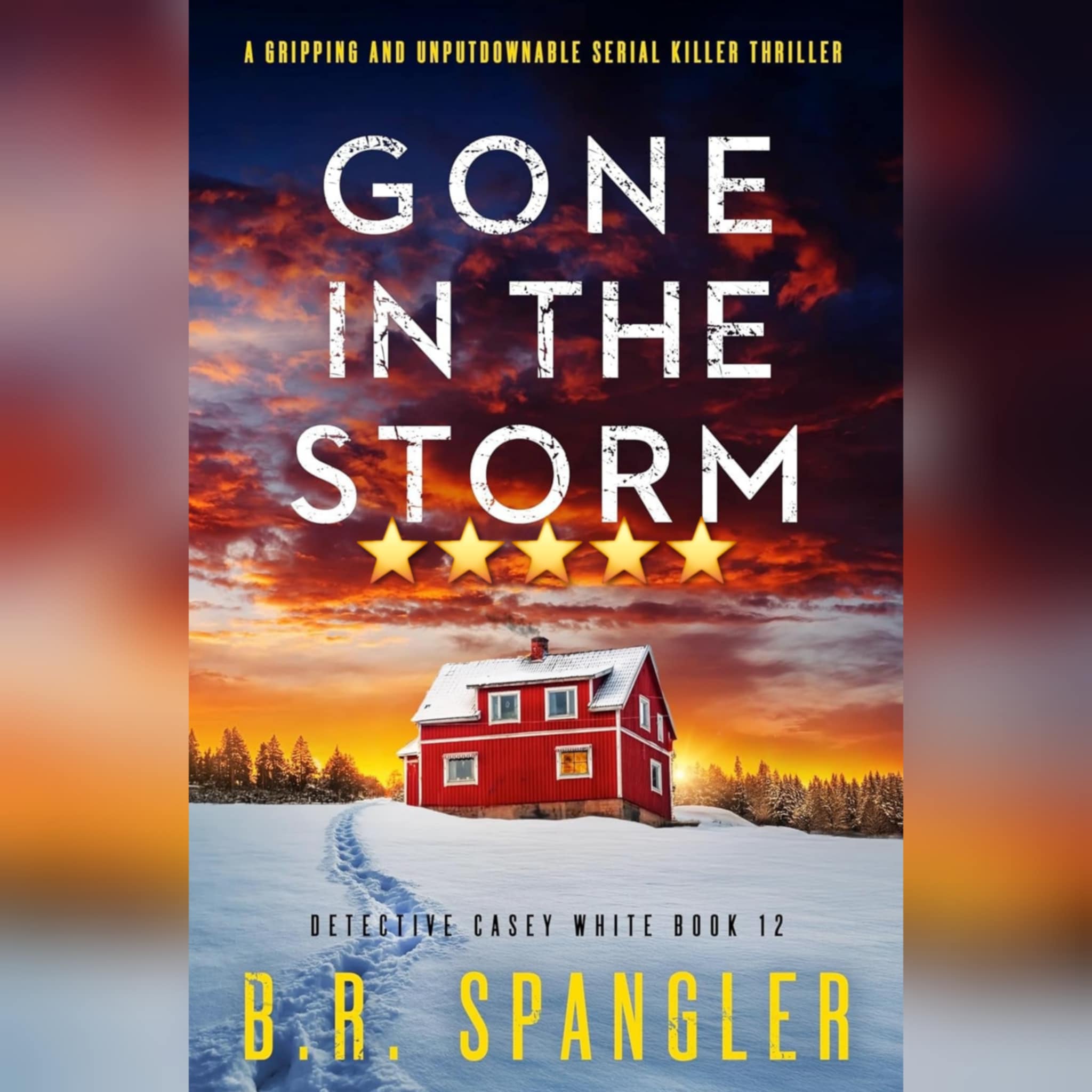 #BlogTour: Gone In The Storm by B.R. Spangler