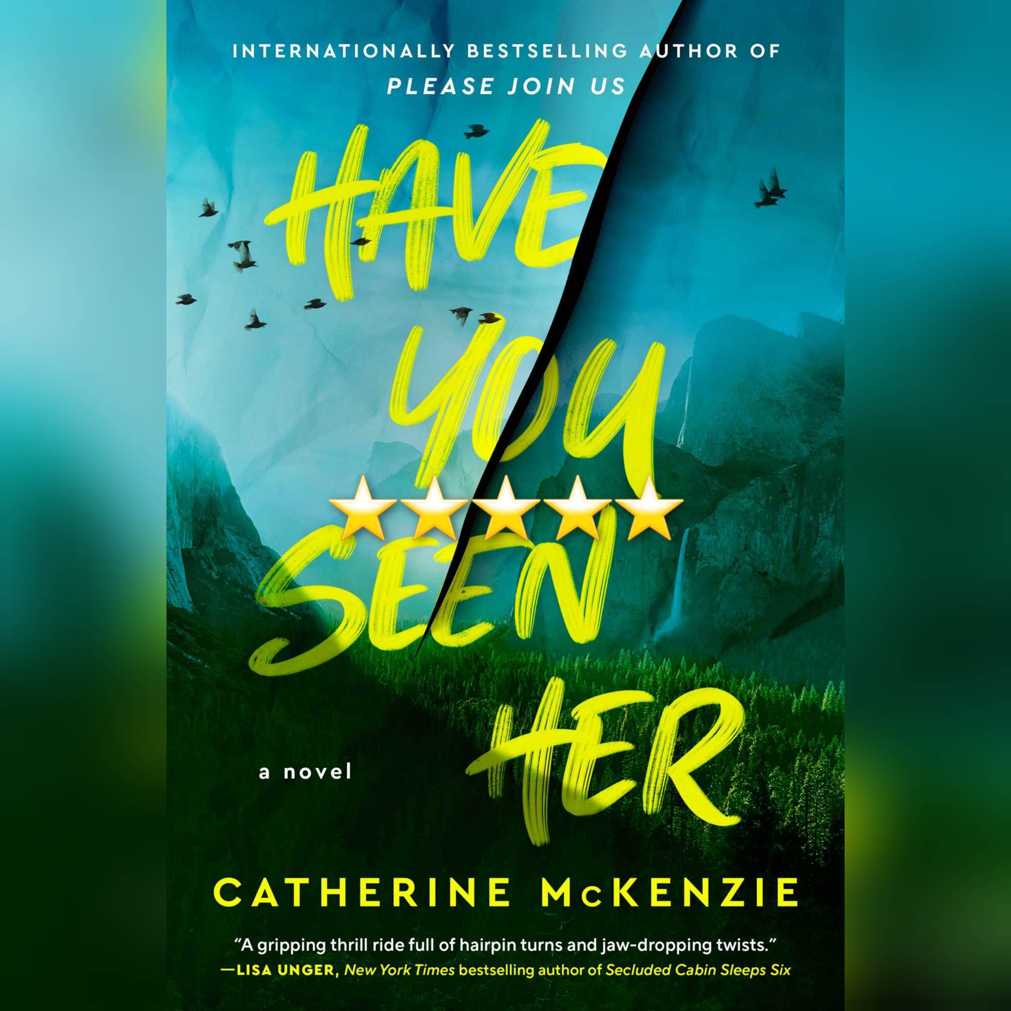 Book Review: Have You Seen Her by Catherine McKenzie