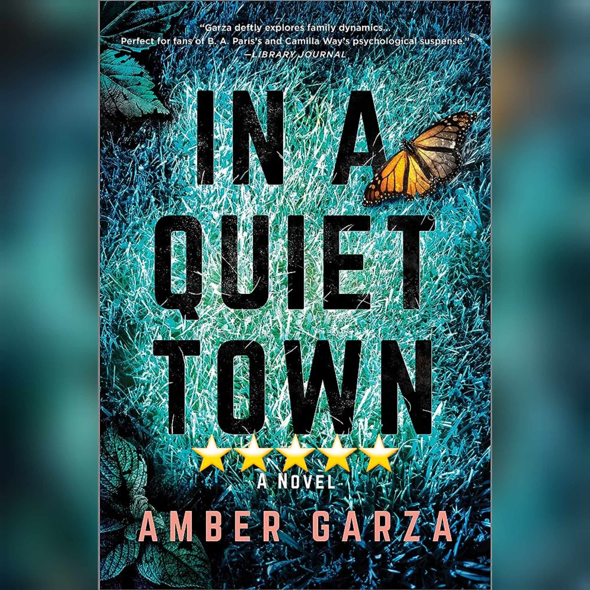#BlogTour: In A Quiet Town by Amber Garza