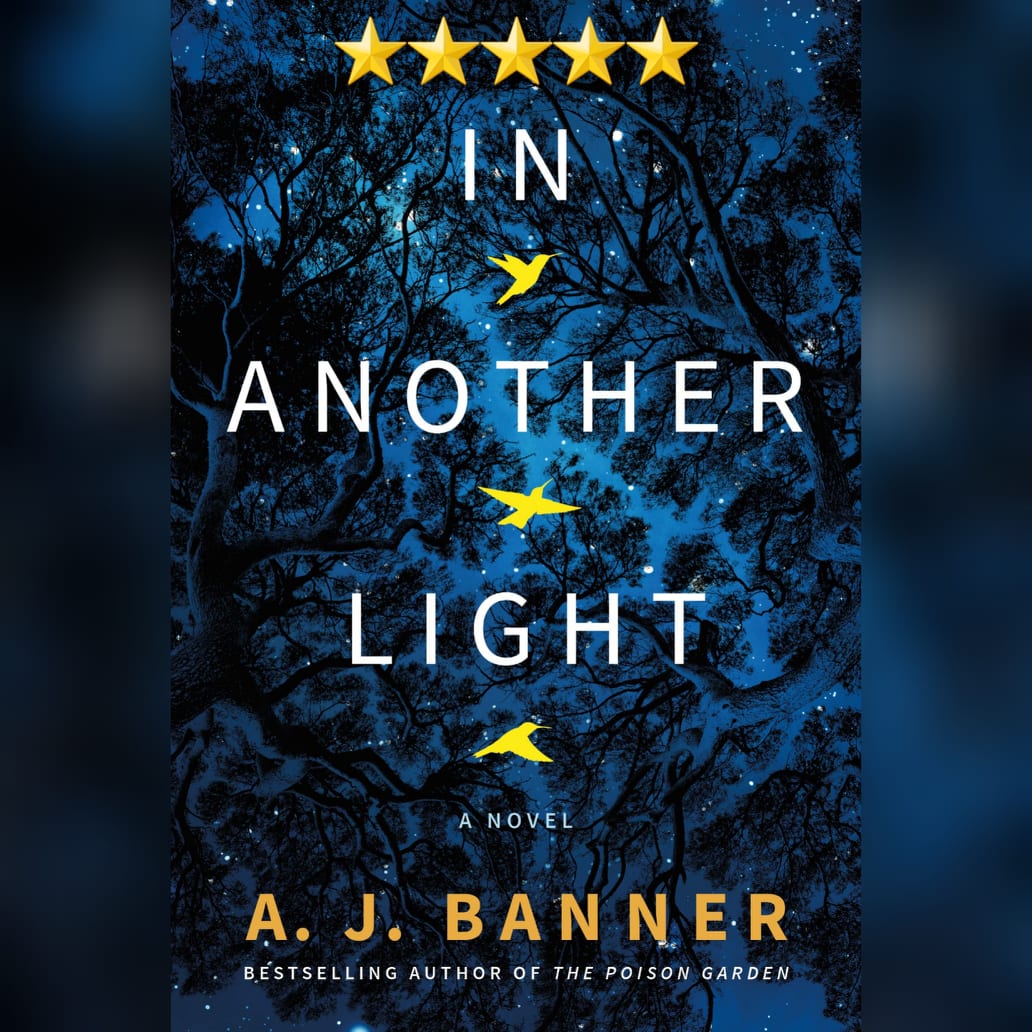 Featured New Release Of The Week: In Another Light by AJ Banner