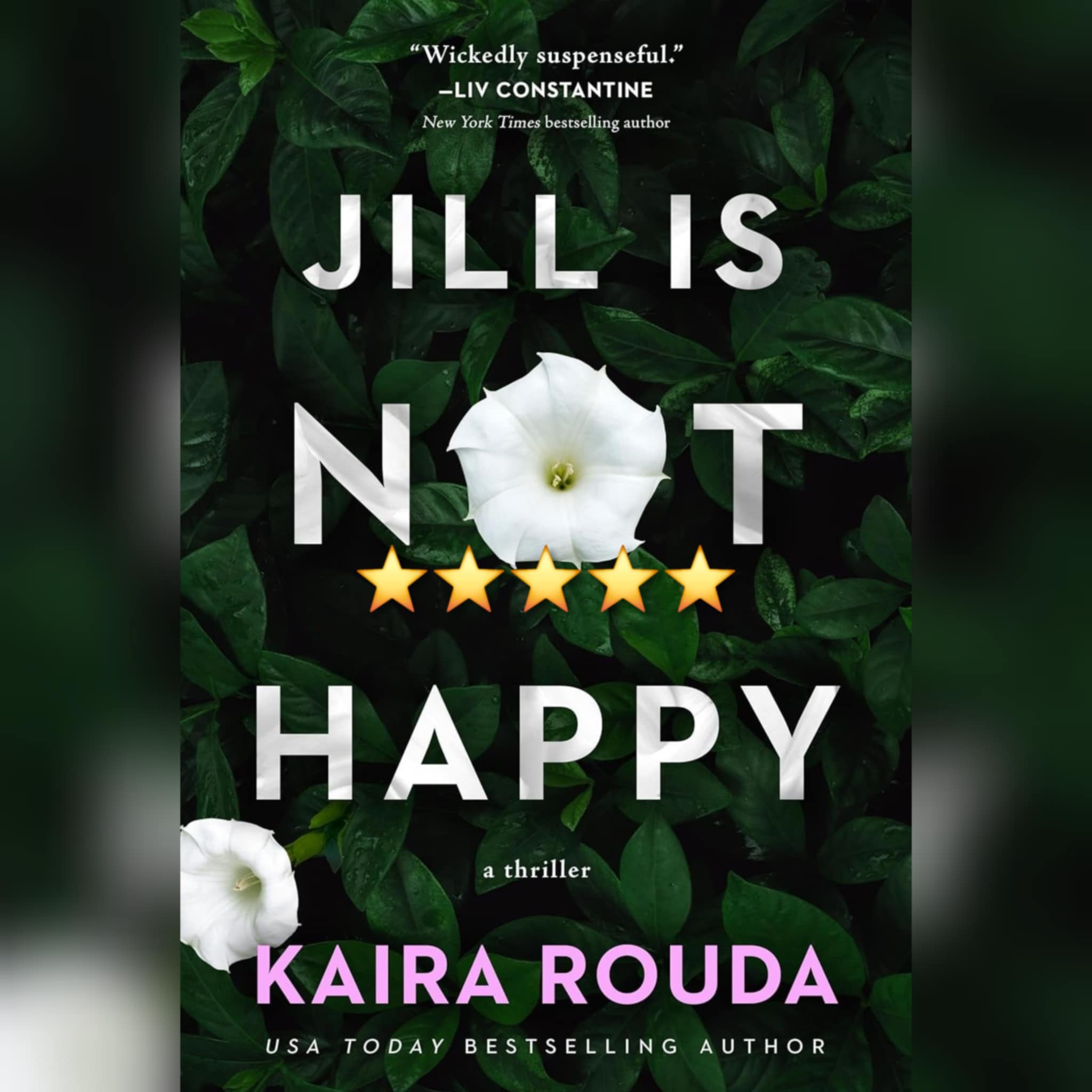 Book Review: Jill Is Not Happy by Kaira Rouda