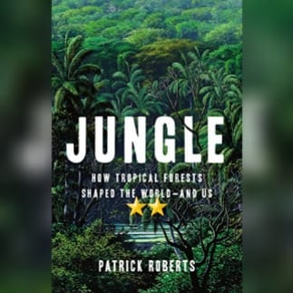 Book Review: Jungle by Patrick Roberts