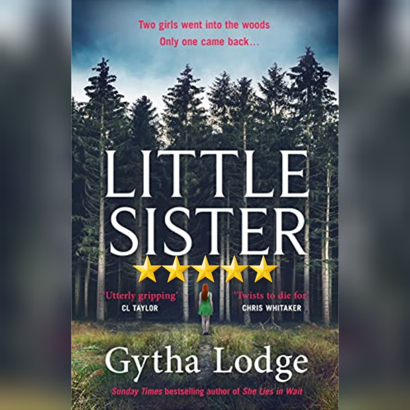 Book Review: Little Sister by Gytha Lodge