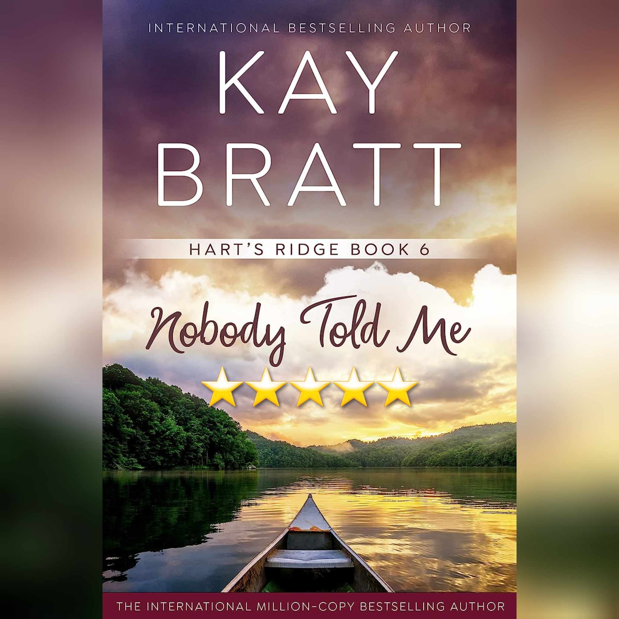 Book Review: Nobody Told Me by Kay Bratt