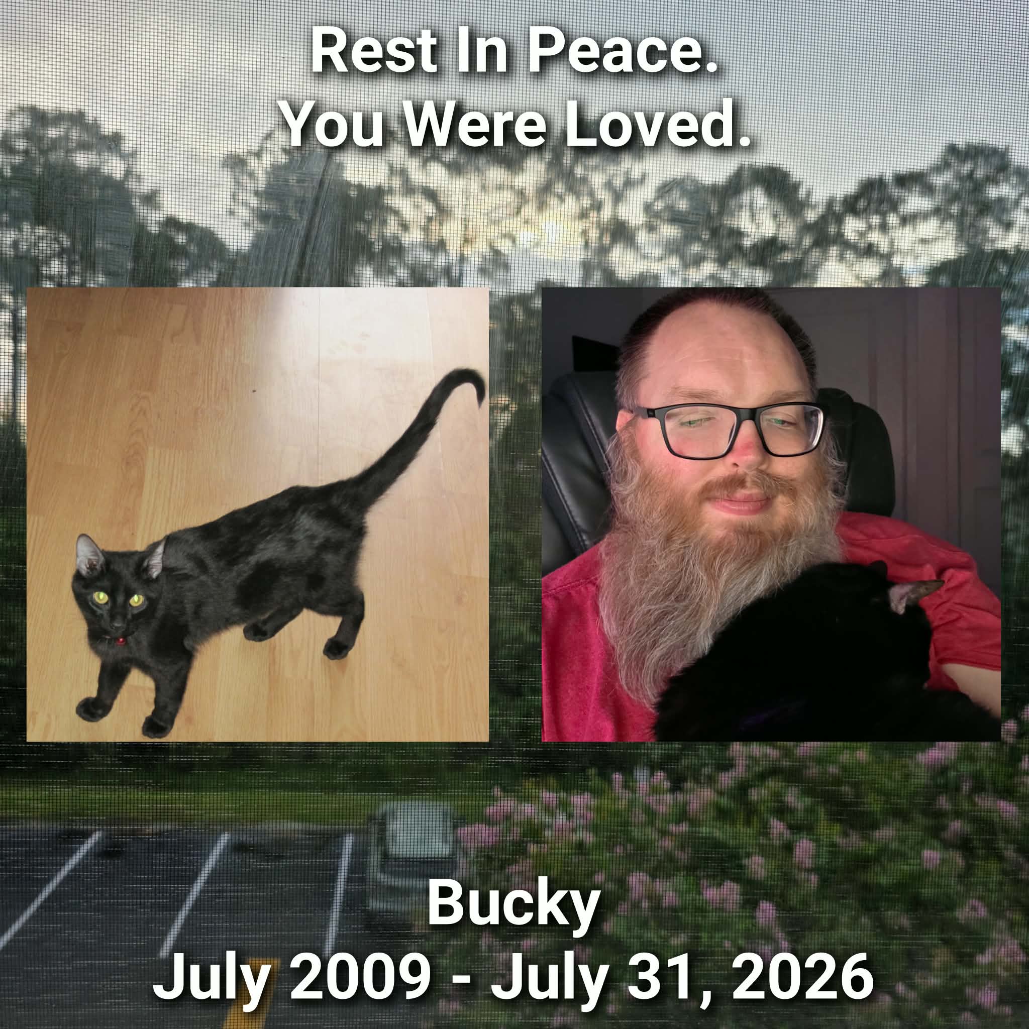 Rest In Peace Bucky