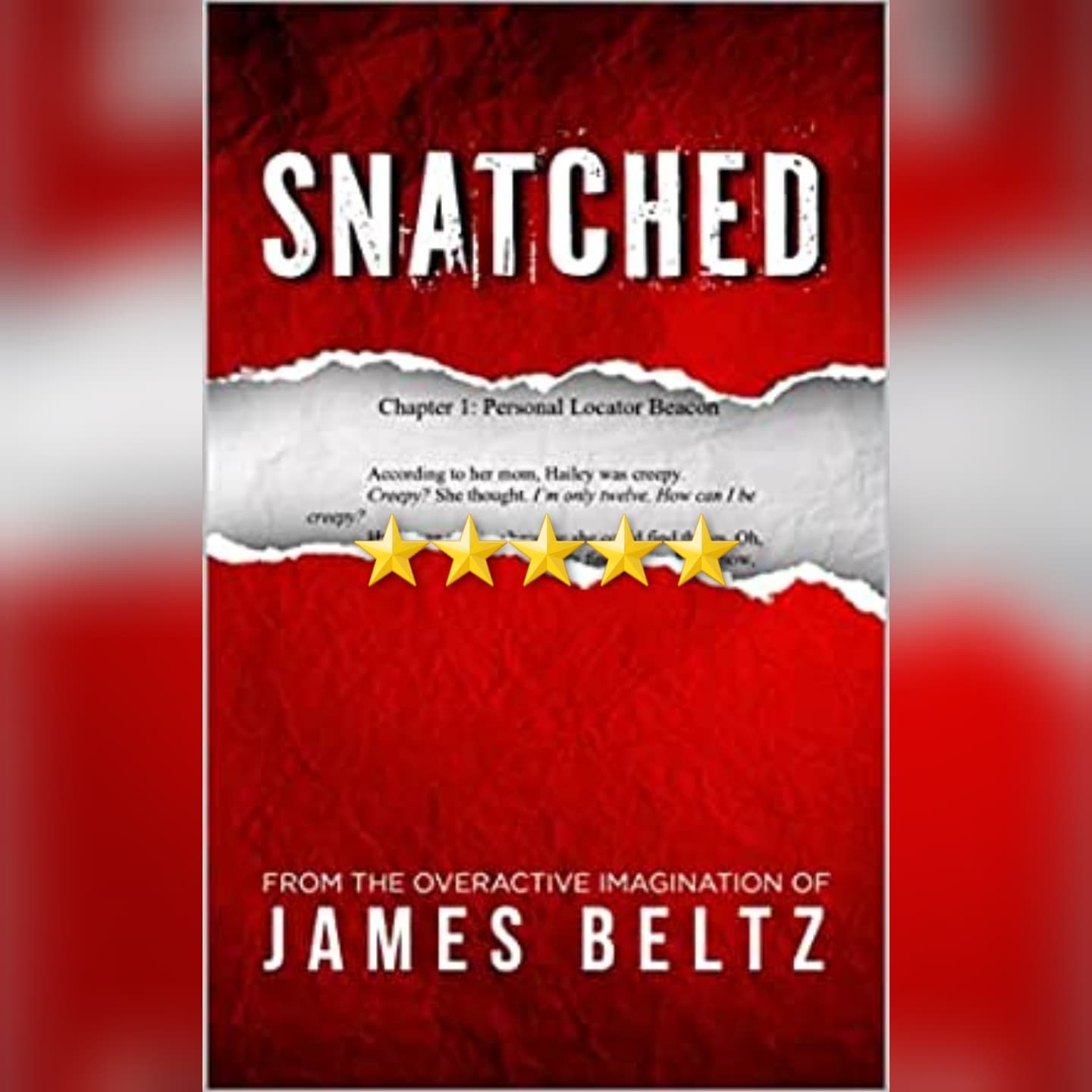 Book Review: Snatched by James Beltz