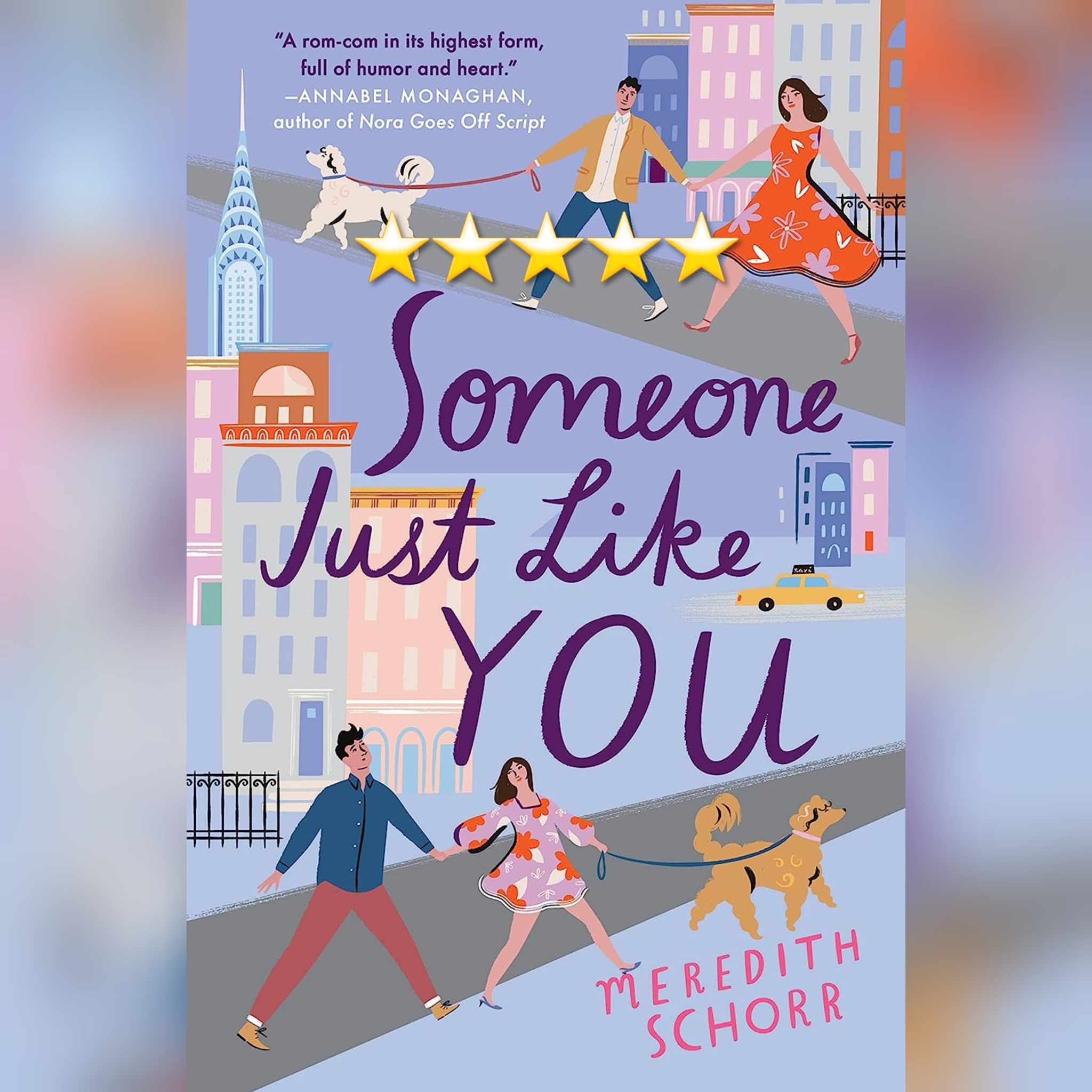 Book Review: Someone Just Like You by Meredith Schorr