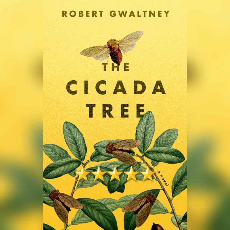 Featured New Release Of The Week: The Cicada Tree by Robert Gwaltney