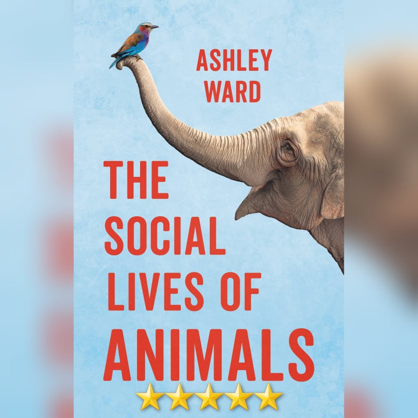 Book Review: The Social Lives Of Animals by Ashley Ward
