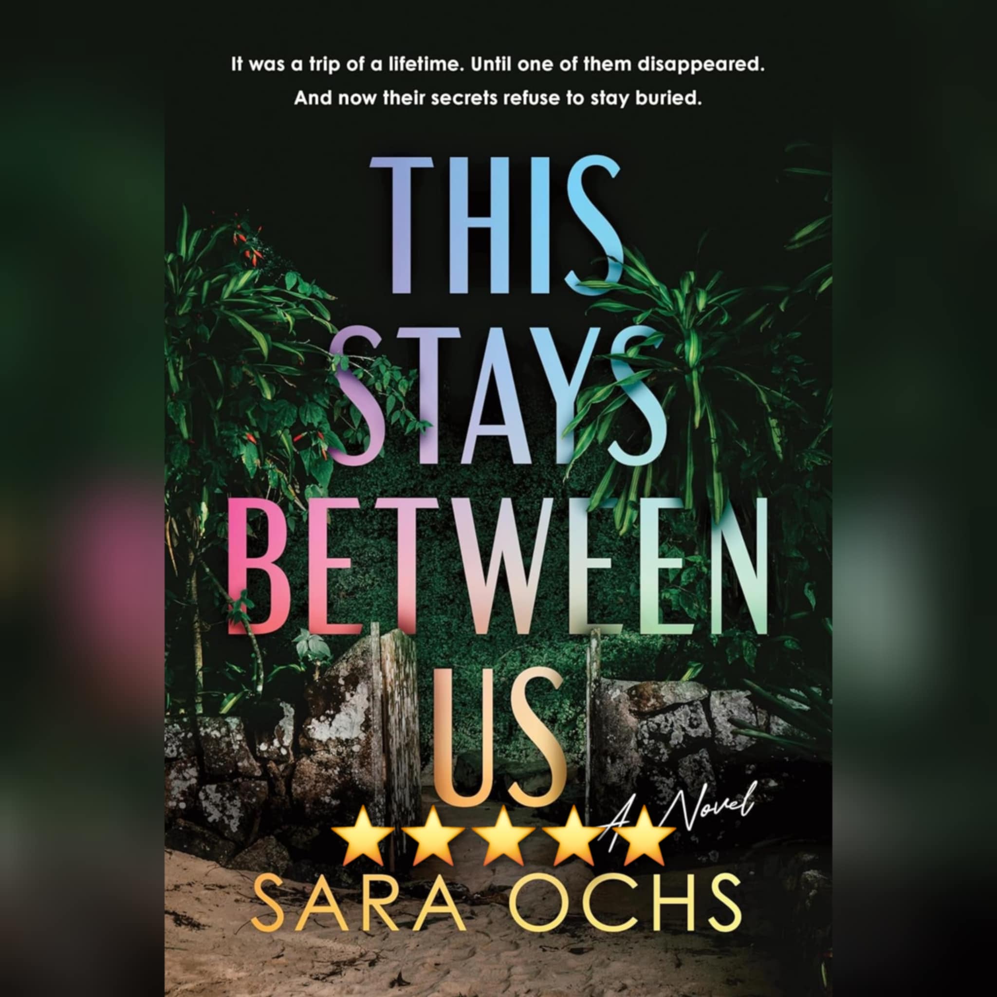 Book Review: This Stays Between Us by Sara Ochs