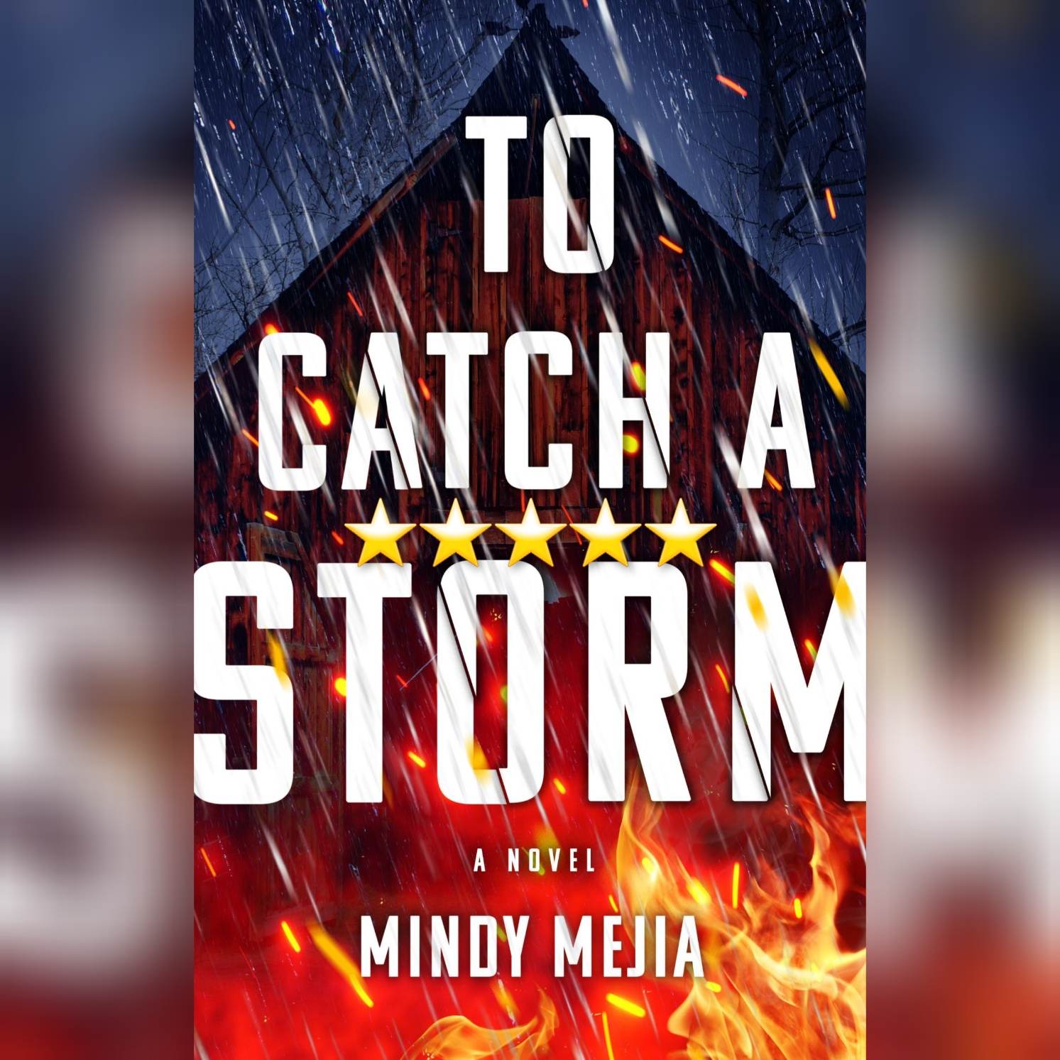 Book Review: To Catch A Storm by Mindy Mejia