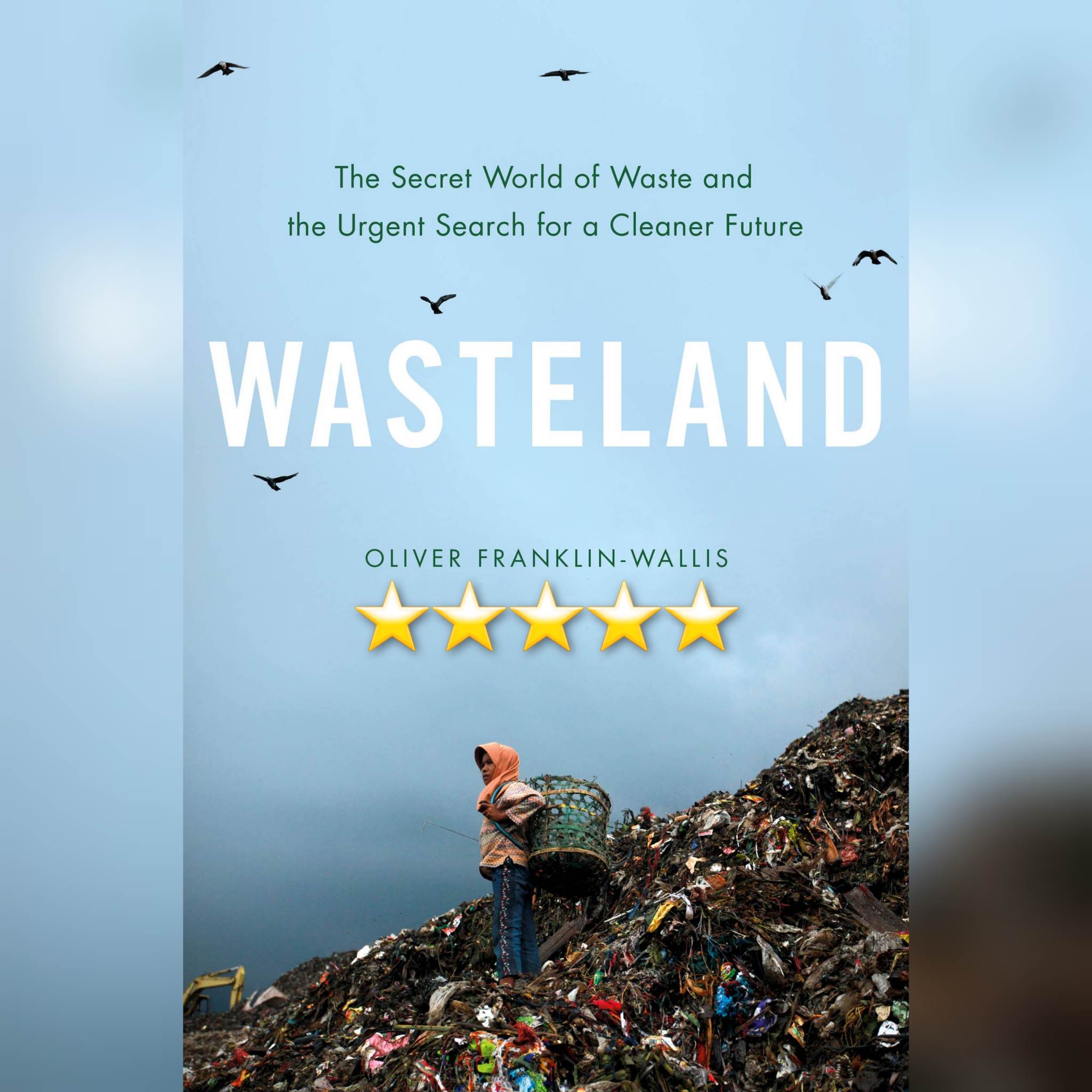 Book Review: Wasteland by Oliver Franklin-Wallis