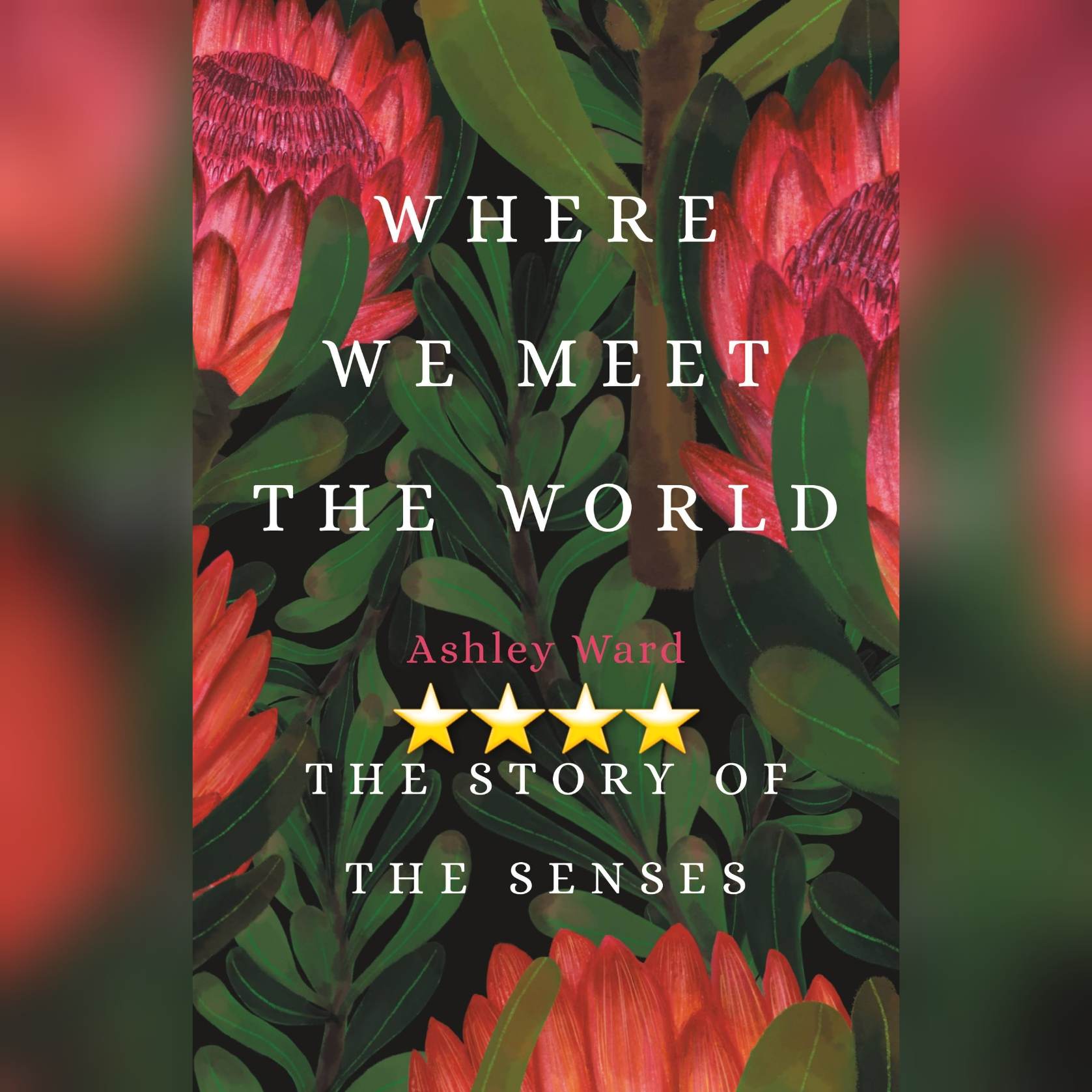 Book Review: Where We Meet The World by Ashley Ward